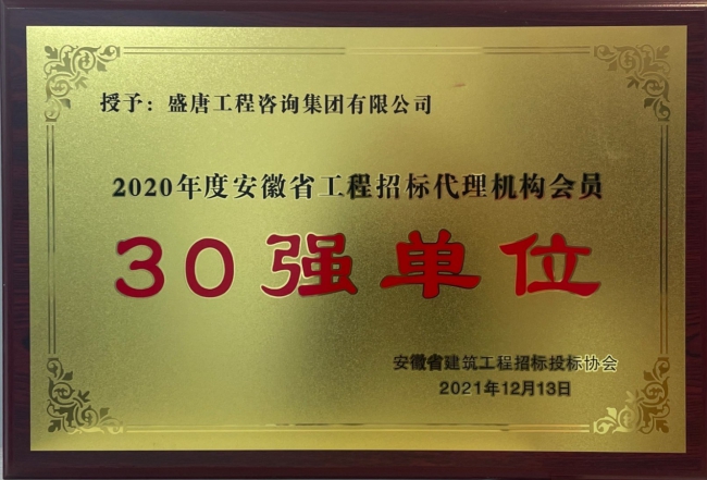 2020年度30强
